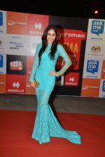 Pooja Chopra at Micromax Siima day 1 red carpet on 12th Sept 2014